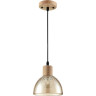 Подвесной светильник LUMION NATANA 8054/1А SUSPENTIONI LN24 E27 1*60W 220V дерево/амбер металл/стекло 8054/1A
